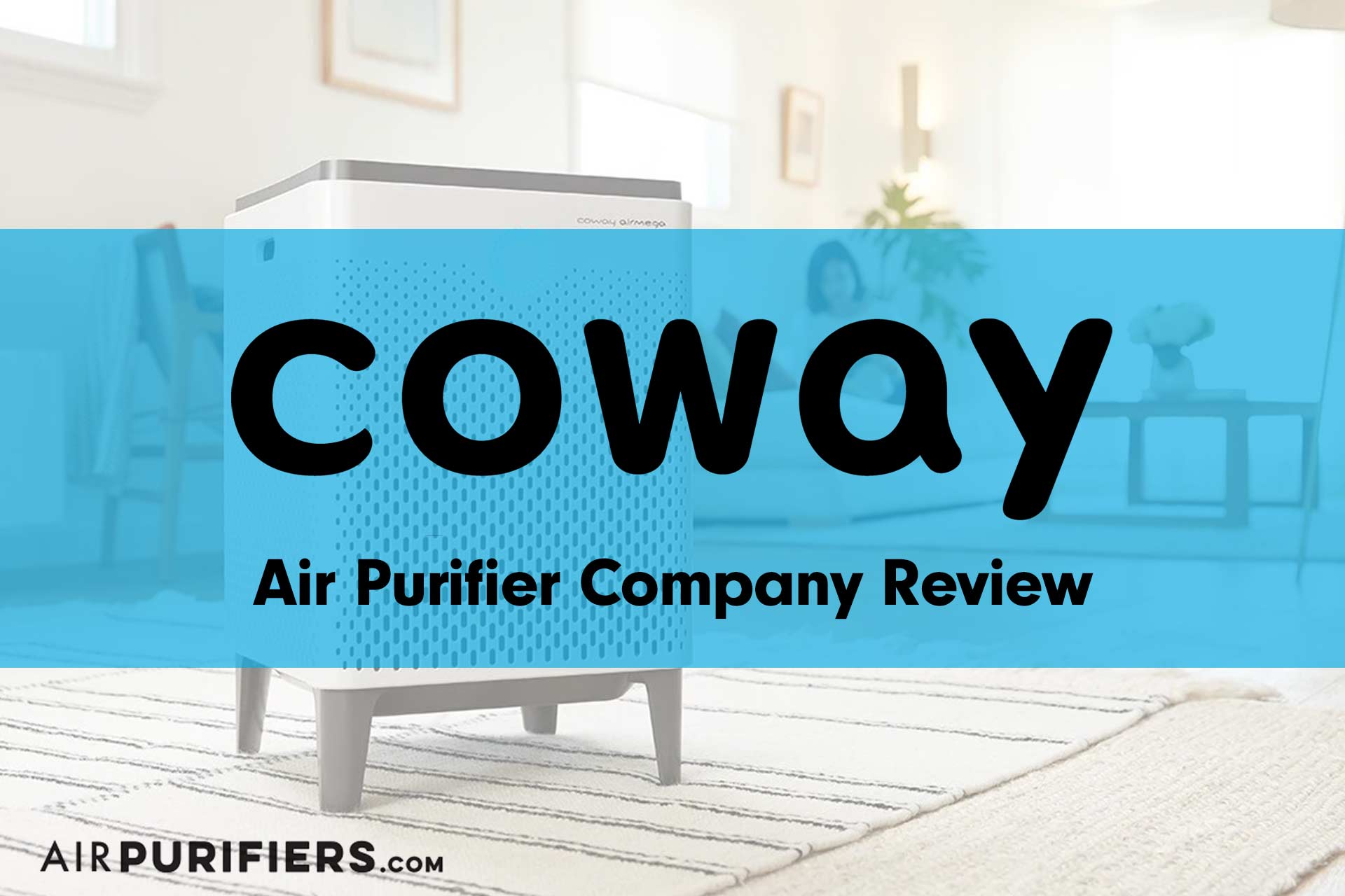 Coway Air Purifiers Company Review