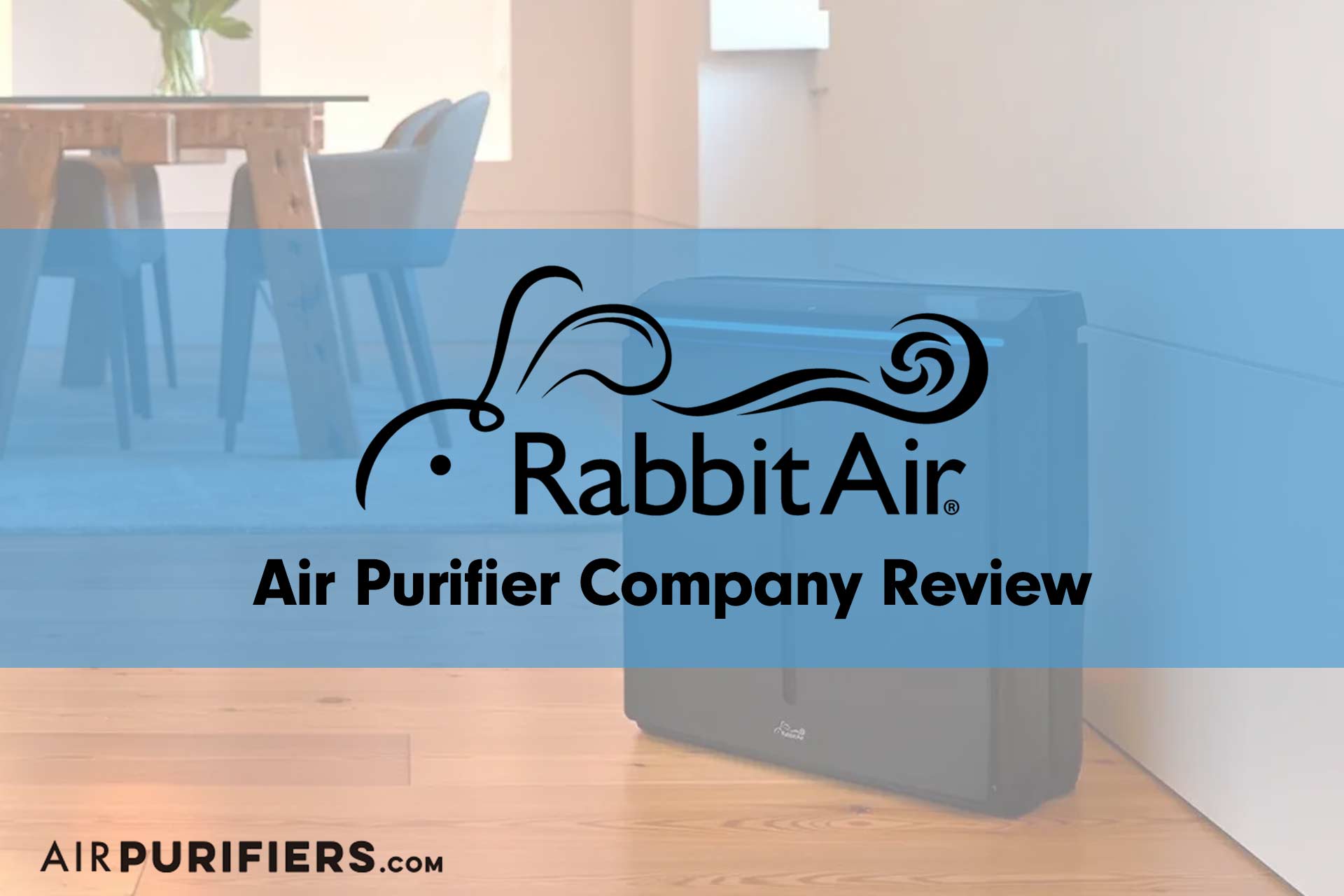 Rabbit Air Purifiers Company Review