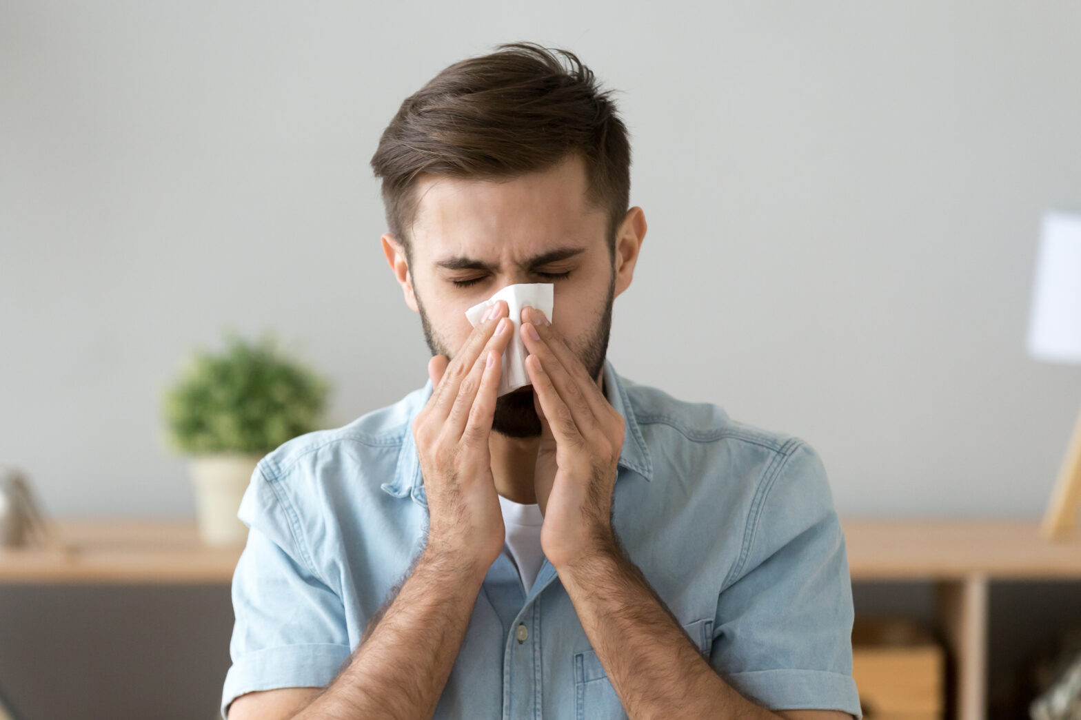 Air Purifiers & Preventing Airborne Diseases image