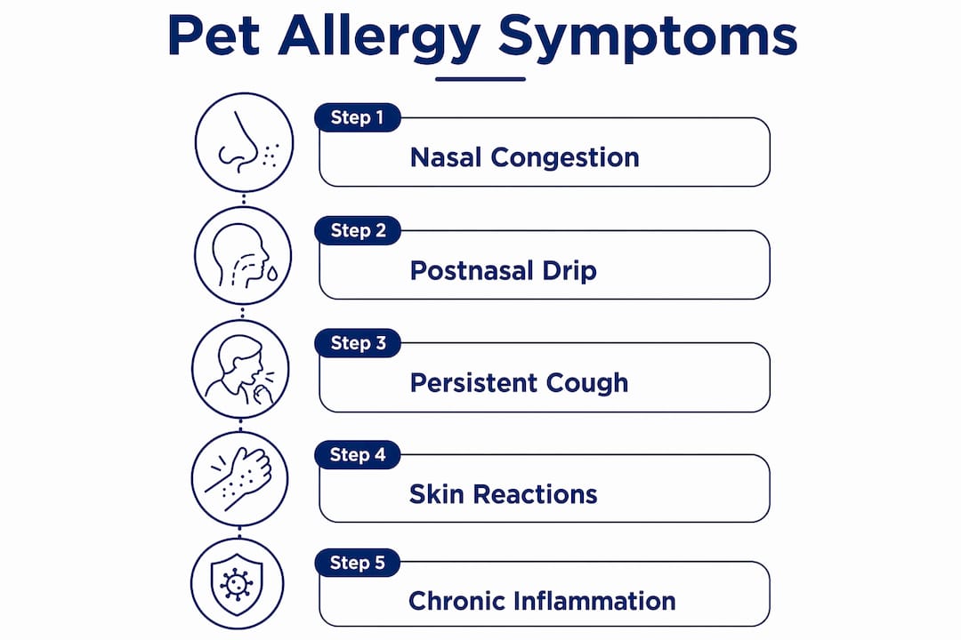 Infographic listing top pet allergy symptoms