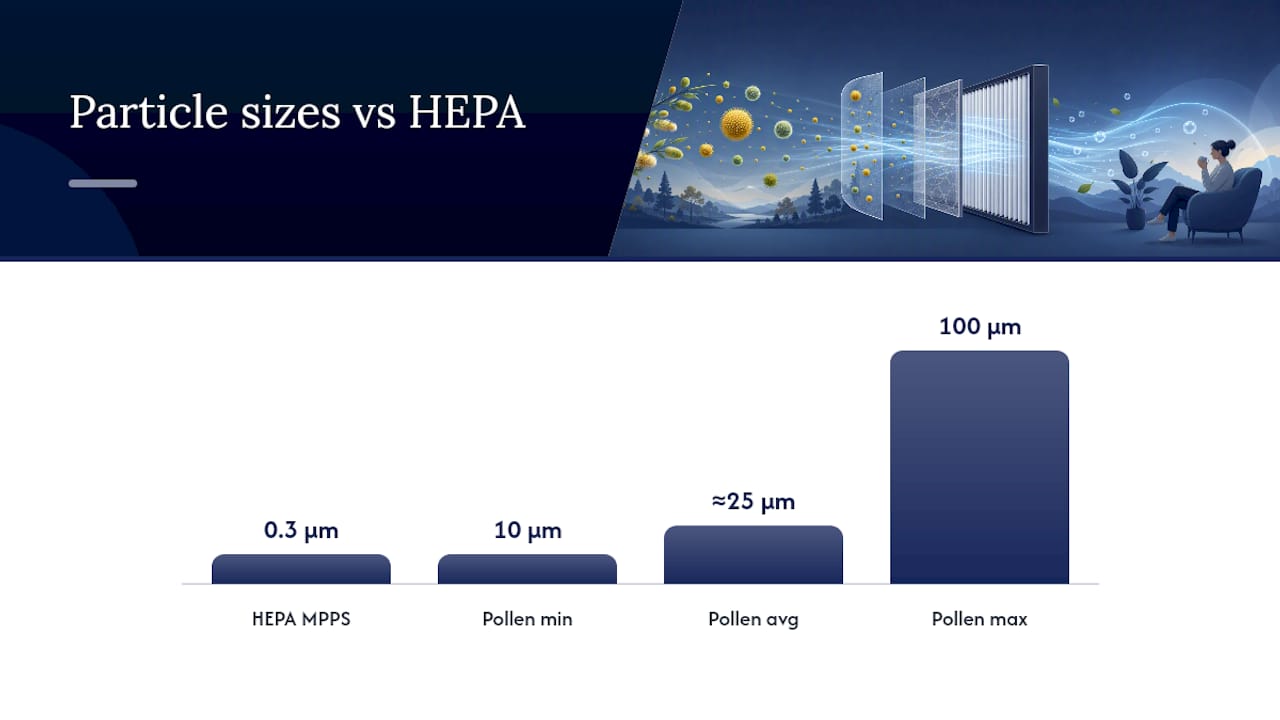 Diagram comparing pollen sizes and HEPA filter efficiency